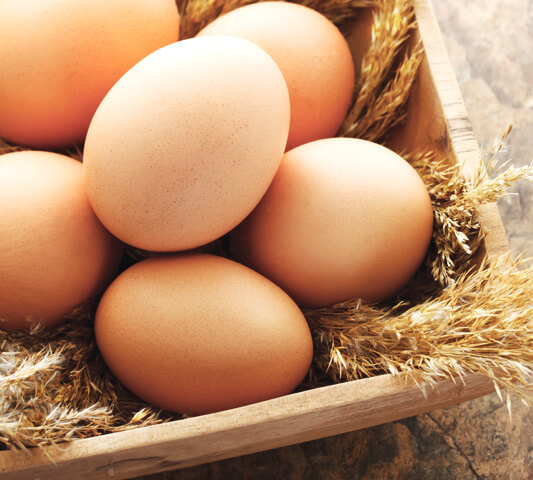 Frische Eier von ausgesuchten regionalen Geflügelhöfen